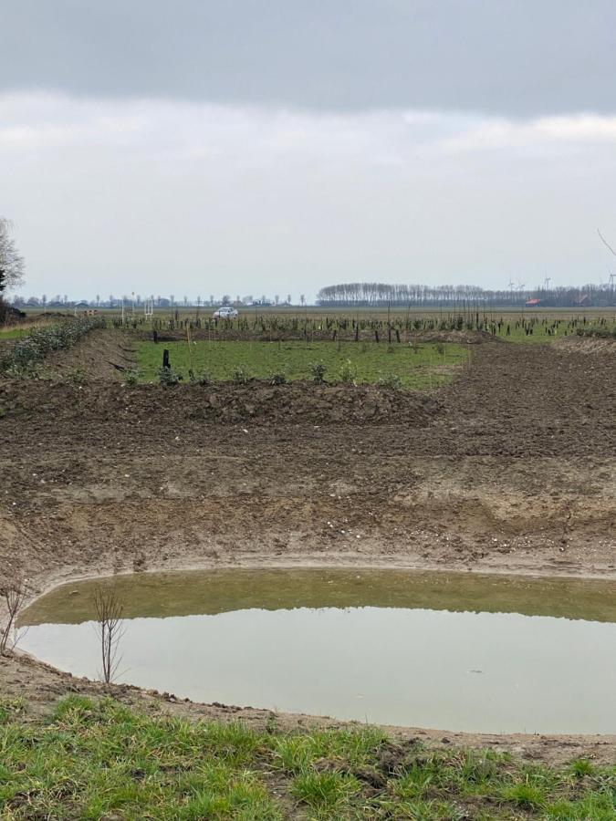 Natuurhuisjes Lust En Last Sommelsdijk Dış mekan fotoğraf